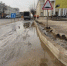 Мэрия обещает посадить в Орле на Комсомольской сотню деревьев - OrelGrad.Ru