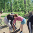 Три дня на перезагрузку - Орская хроника