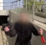 В Благовещенске задержали 30-летнего мужчину, сорвавшего с шеи пожилой женщины золотую цепочку - Asn24.Ru