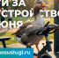 Голос каждого важен - Газета Парфеньевский вестник
