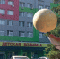 Выпавший из окна мальчик — в нейрохирургии Областной детской больницы - Gorod48.ru