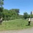 В городе продолжается окос растительности - Кувандыкский городской округ