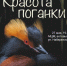 В Новороссийске состоится показ уникального документального фильма «Красота поганки» - Город-герой Новороcсийск