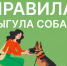 Лето, дети и собаки: почему самовыгул особенно опасен.. - Свечинский муниципальный округ