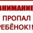 ВНИМАНИЕ!!! ПРОПАЛ РЕБЕНОК!!!. - Няндомский муниципальный округ