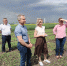 В Курской области вывели 8 новых гибридов кукурузы - Курская правда
