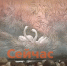 Семьи нижегородских участников СВО пригласили на «Лебединое озеро» - ИА Нижний сейчас