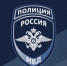 Кража телефона помогла полиции раскрыть серию магазинных краж в Великих Луках - Luki.Ru