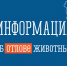 Администрация Тамалинского района информирует  по отлову безнадзорных животных - Тамалинский район