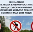 В Башкирии до конца мая ограничат посещение лесов - Гафурийский район