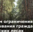 На Дону продлён режим ограничения пребывания граждан в лесах - Минприроды Ростовской области