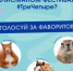 Сайгак, выхухоль или осетр: в Волгограде ищут талисман фестиваля #ТриЧетыре - Riac34.Ru
