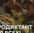 Фермерское хозяйство «Жили-Растили» станет открытой площадкой для «Агродиктанта» - Гатчинская служба новостей