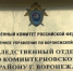 Житель Воронежа подозревается в применении насилия и оскорблении сотрудника полиции - Следственный комитет