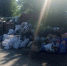 В Троицке продолжается борьба с мусором. - Газета Регион