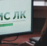 471 пакет данных — столько уже подготовлено для обновления информации во ФГИС ЛК - Министерство лесного хозяйства