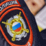 Житель Куртамыша сломал топиарий в Кургане - Новый мир