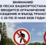 В Башкирии до 31 мая запрещено заходить и заезжать на машине в леса - Администрации г. о. Сибай