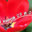 Мероприятия в Кирове 23 и 24 мая: афиша - ГТРК Вятка