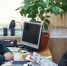 Подведены итоги профориентационного конкурса для школьных лесничеств - Главное управление лесного хозяйства