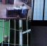 o110gu0pgdbuyo7iw7vbafnwhp5xtutw (1).jpg - NewKaliningrad.Ru