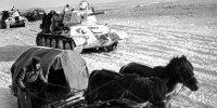 Верные лошади помогли советскому солдату вынести все тяготы Великой Отечественной - Газета Магаданская правда