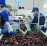 Волгоградские переработчики овощей увеличивают производство продукции - Облкомсельхоз