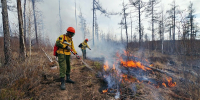 В Якутии за сутки потушили два лесных пожара и локализовали еще два - Yakutia-Daily.Ru