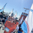 Всем бег! Праздник спорта в Самаре - ТК ТОЛЬЯТТИ 24