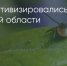 Поделитья во ВКонтакте - Братская Студия Телевидения