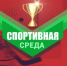 Спортивная среда апреля: Первенство ЕАО по баскетболу и Чемпионат Дальневосточной Детской Хоккейной Лиги - РИА Биробиджан