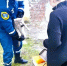 В Ульяновске спасатели сняли с дерева кота-путешественника, забравшегося на трехметровую высоту - Ulpravda.Ru