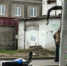 15-летний водитель квадроцикла сбил девочку на "зебре" в Иркутском районе - IrkutskMedia.Ru