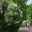 В середине недели в Москве было жарче, чем на юге страны и даже в Турции | Источник: Артем Устюжанин / MSK1.RU - 76.Ru