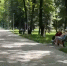 Обнинцев просят поднажать с голосованием за объекты благоустройства - NgRegion.Ru