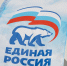 Более 400 человек принимают участие в предварительном голосовании «Единой России» на Вологодчине - Вологда.РФ