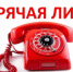 Узнать о раненых на СВО - Газета Сельская новь