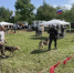 Более 40 участников объединились ради развития традиций собаководства - Министерство лесного хозяйства