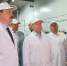 Волгоградские переработчики овощей увеличивают производство продукции - Администрация области