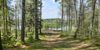 Фото: ПАИ - InformPskov.Ru