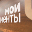 Свыше 480 тысяч услуг оказано в пензенских центрах «Мои документы» за 4 месяца - Пенза-Обзор