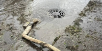 В Белгороде устраняют последствия сильной грозы - Мир Белогорья