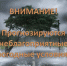 Экстренное предупреждение - Городской округ Сокольский