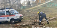 В Белгороде из-за ливня и ветра падают деревья - Сетевое издание Победа 31