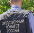 Возбуждено уголовное дело по факту избиения водителя автобуса толпой “зайцев” в Ростовской области - Big-Rostov.Ru