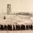 24 мая 1951 года был подписан акт приема-сдачи лагерей Дальстроя - Kolyma.Ru