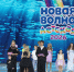 Стали известны призеры «Детской Новой волны – 2026» - Sochi.Com