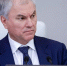 Вячеслав Володин: «Заменой гаджетам могли бы стать интересные кружки, секции, сезонные оздоровительные лагеря и другие активности» - Столица С