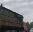 Фото: Комитет государственного экологического надзора Ленинградской области / ВКонтакте - Газета Выборг