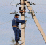 mki6gy8shnwbd9iq36bs5ory63st6xcz.jpeg - Primorye24.Ru